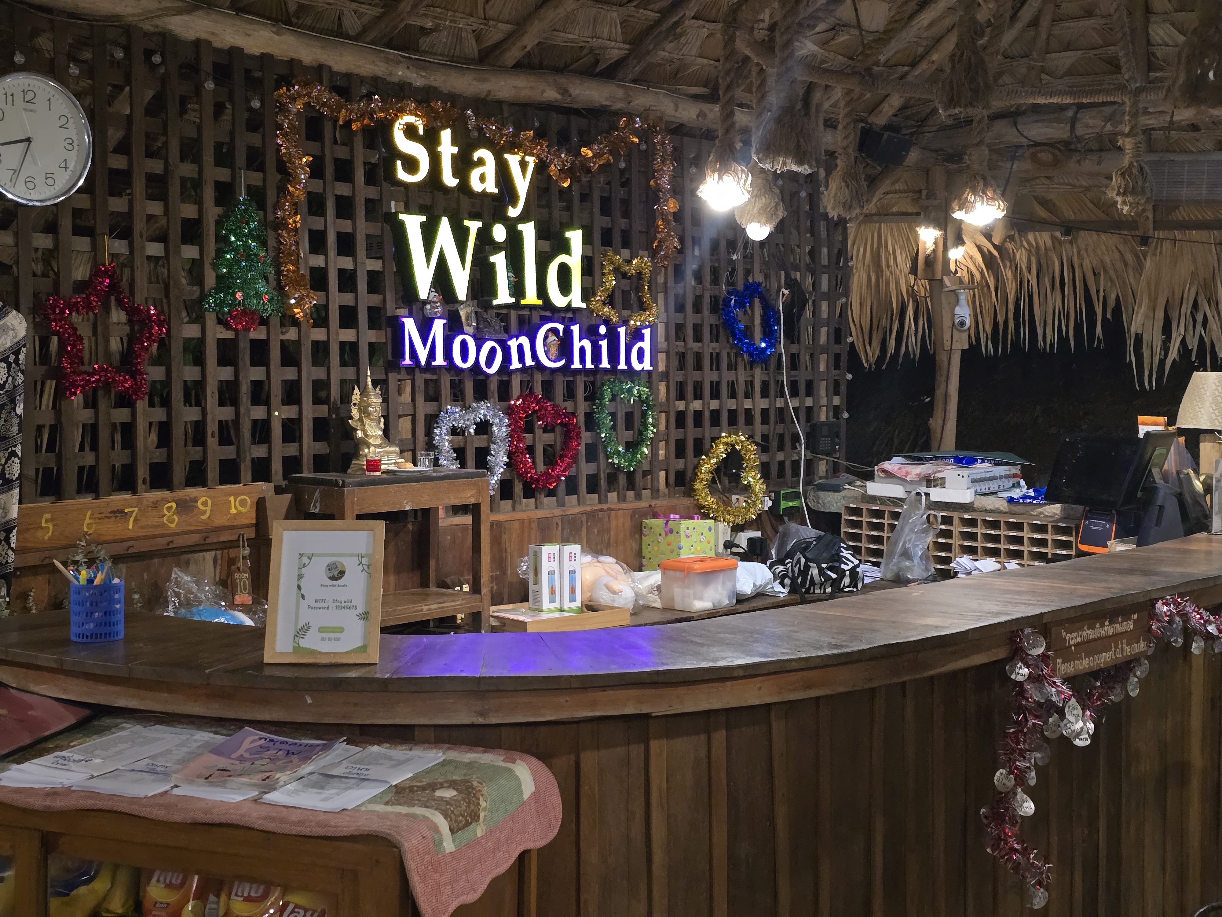 Stay Wild & Cafe