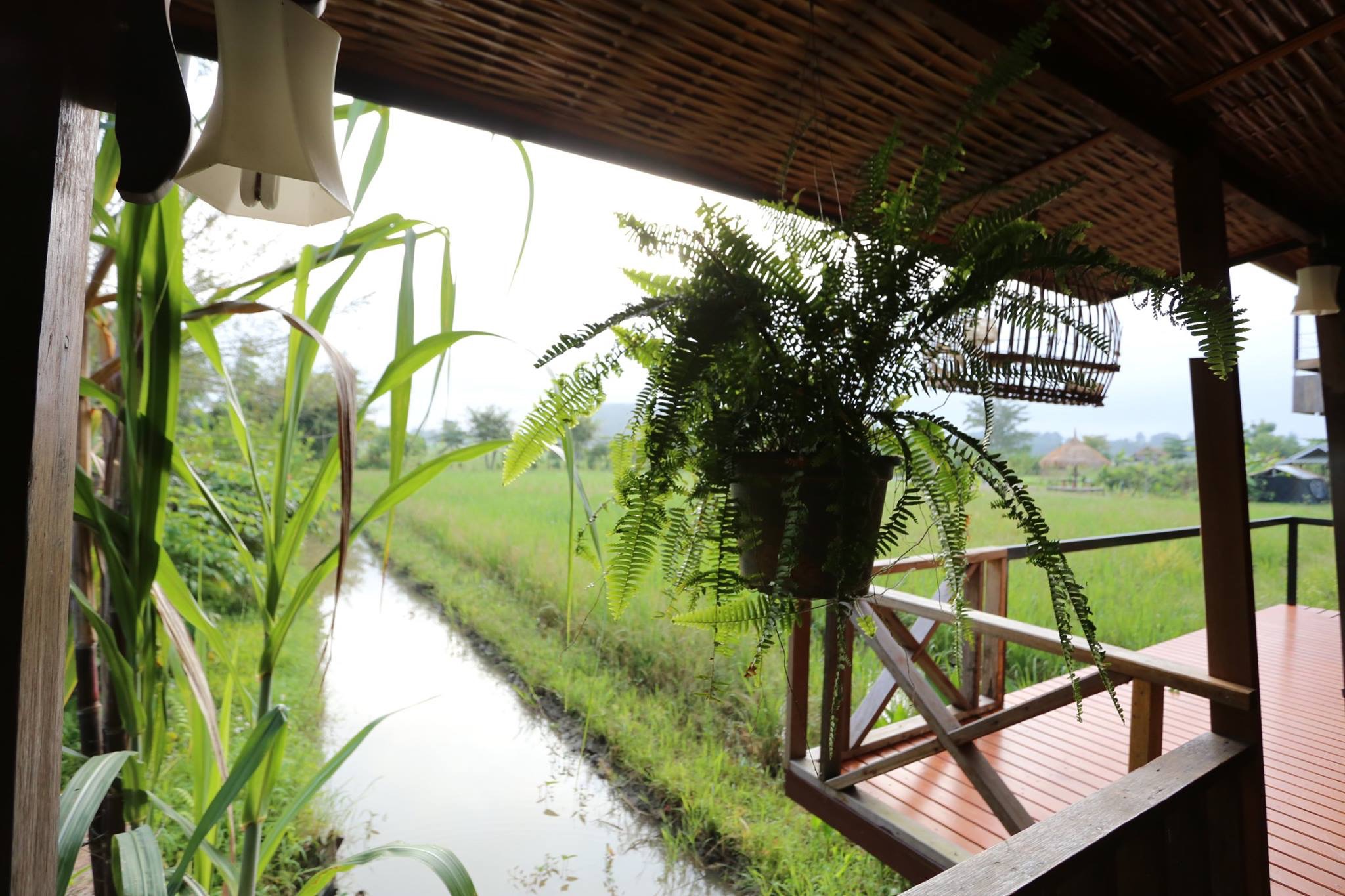 Manee's Garden resort