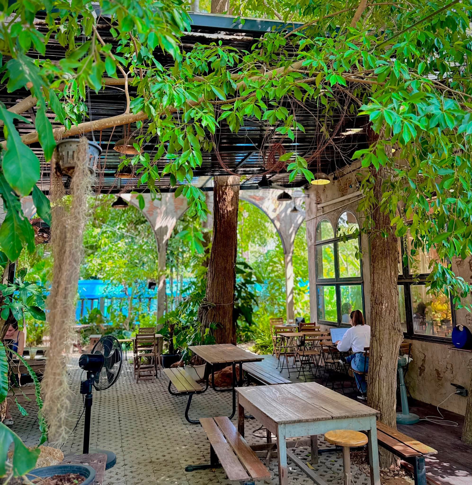 VANVELA cafe & space