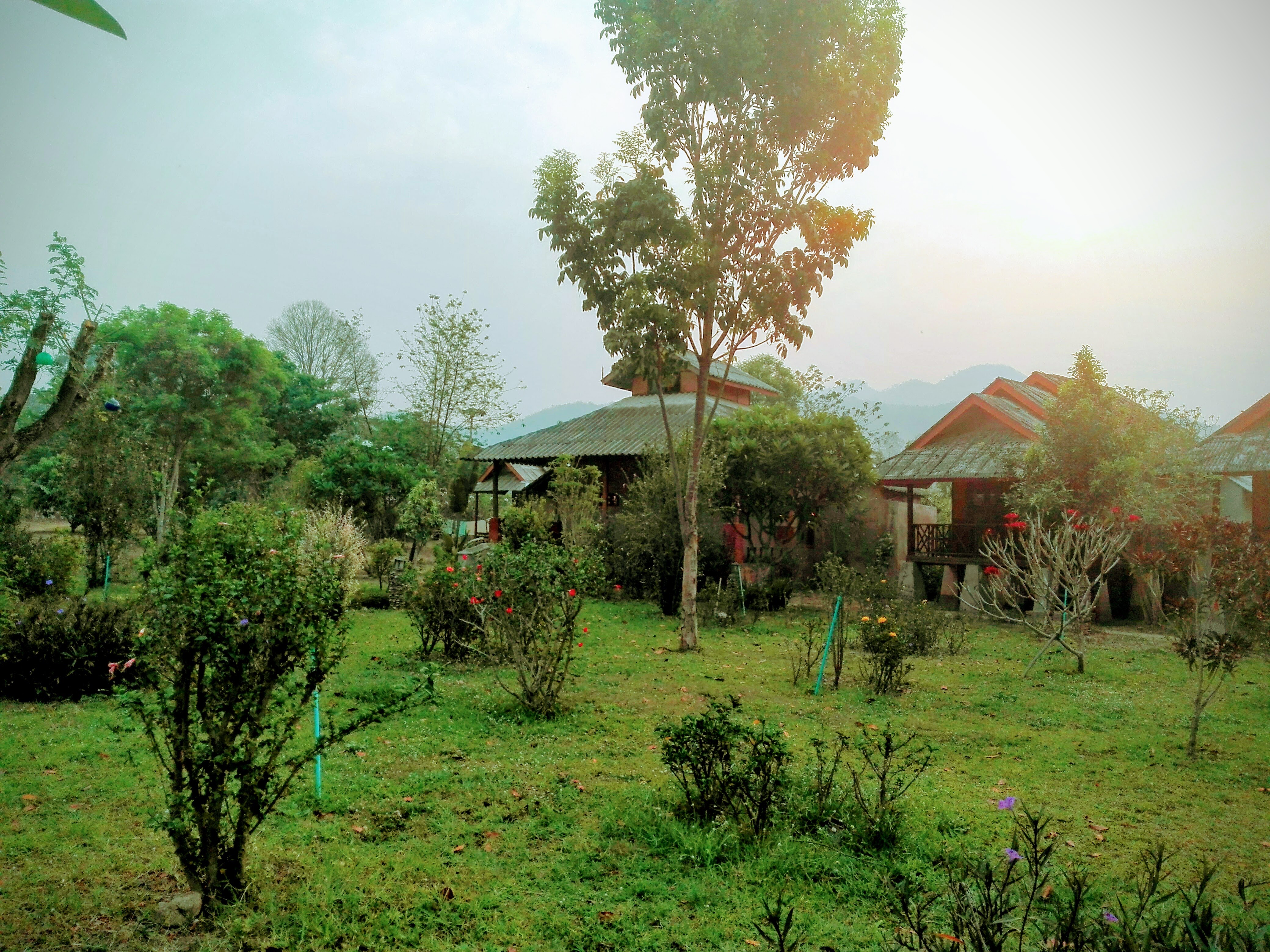 Pai Park Cottage