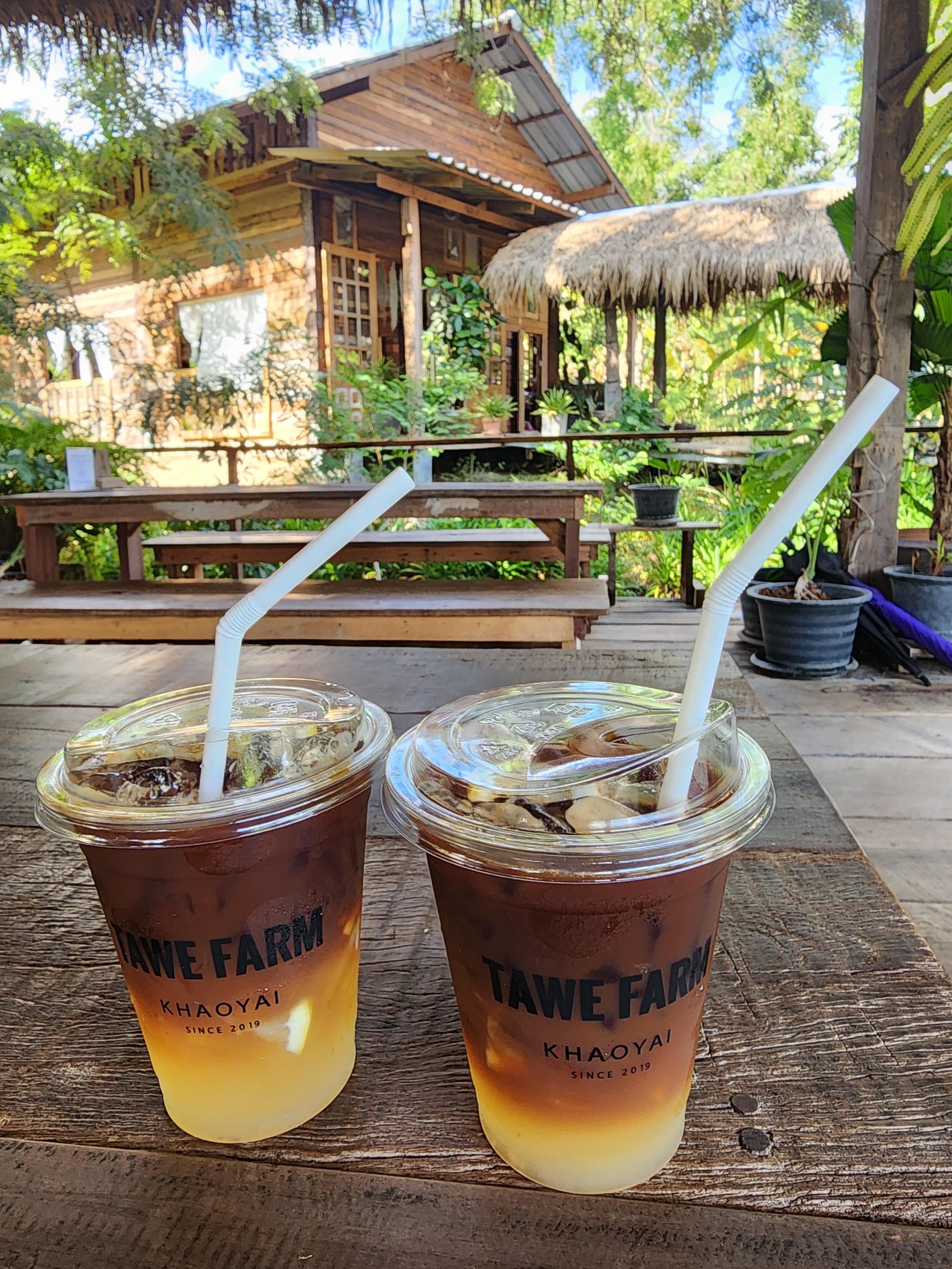 Tawe Organic Farm & Cafe
