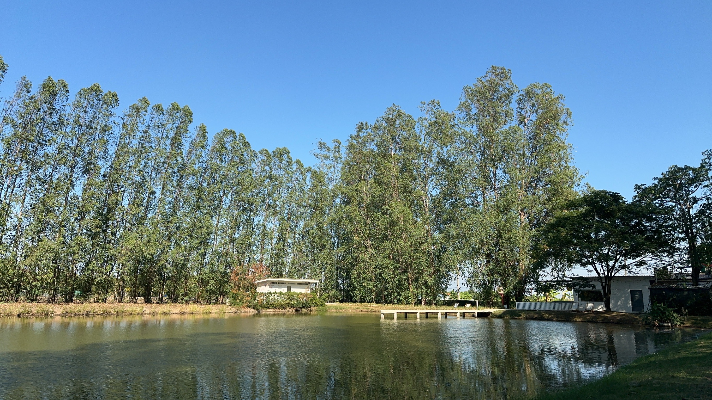 Laloli Cafe