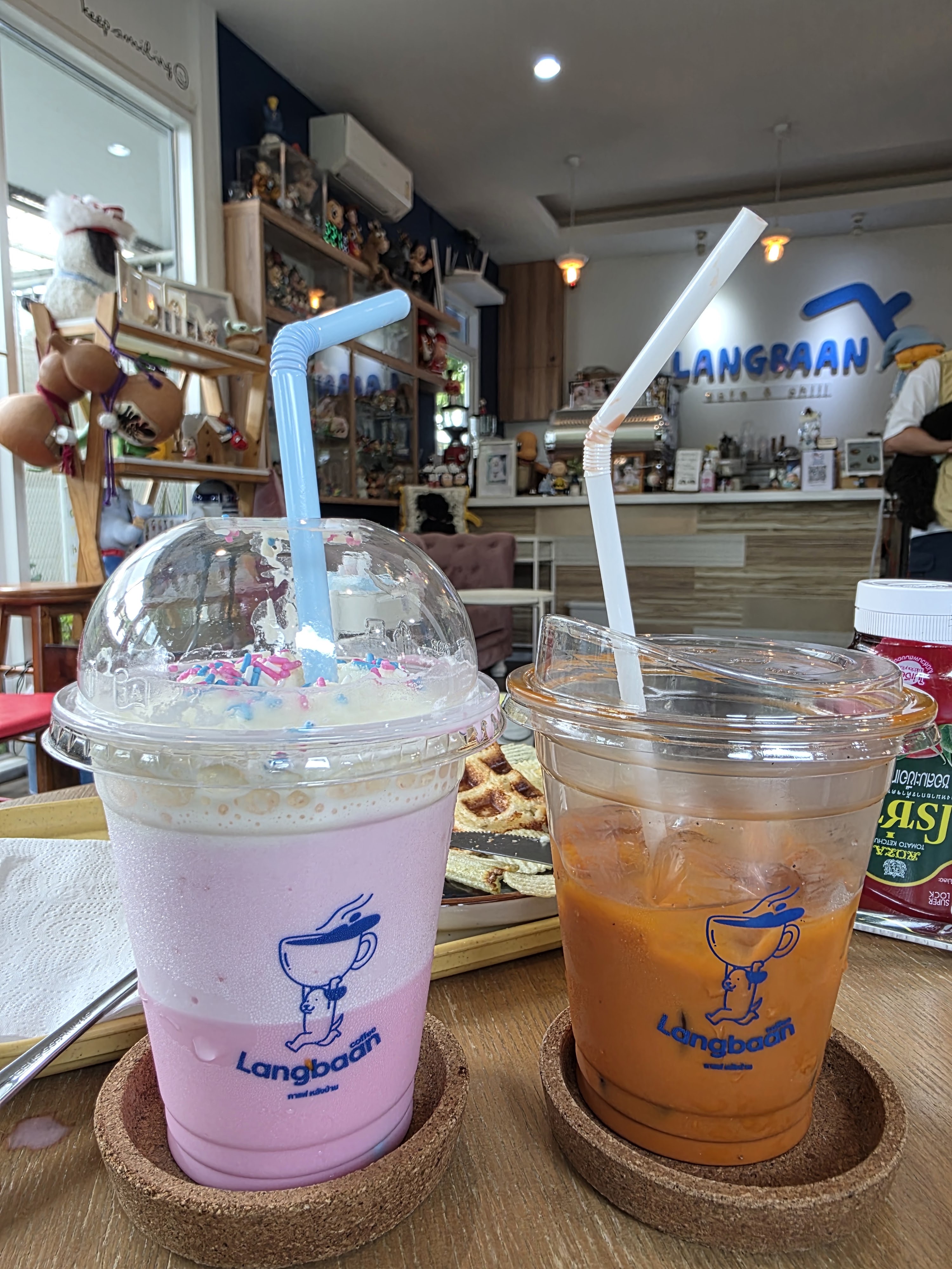 Lang Baan Maltese dog cafe