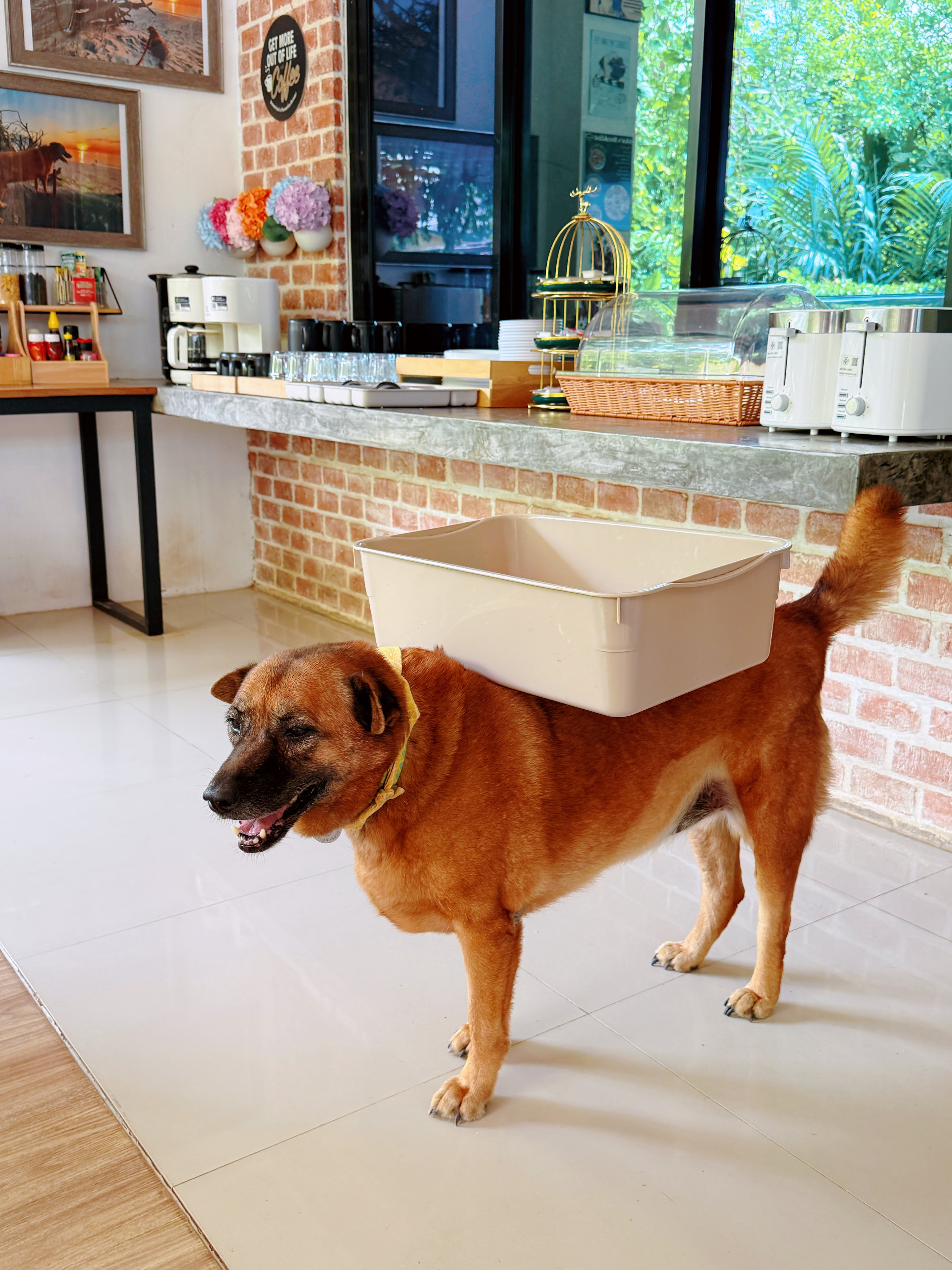Ideo Phuket Hotel Naiyang Beach - SHA Extra Plus