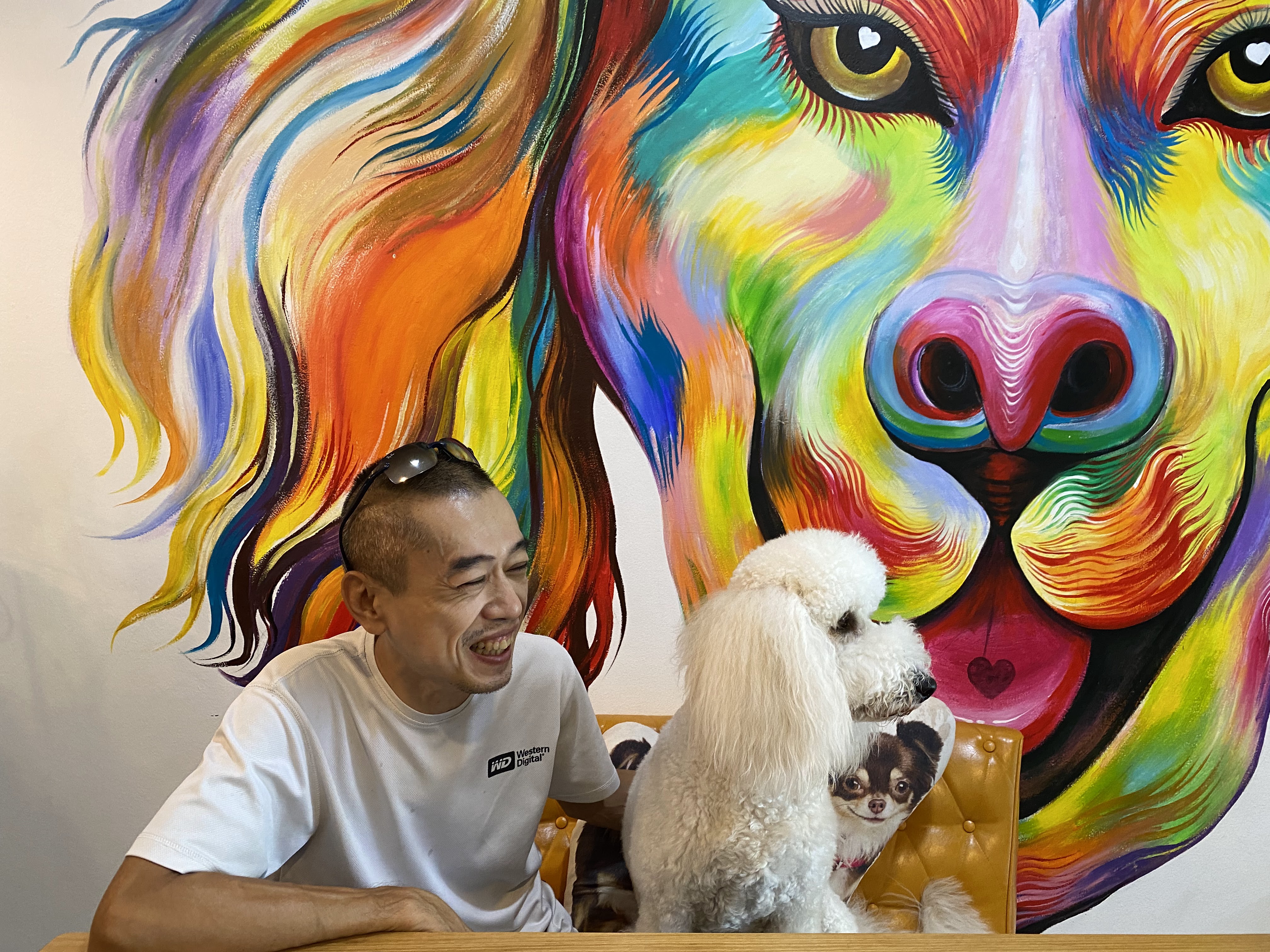 Smilepet & grooming