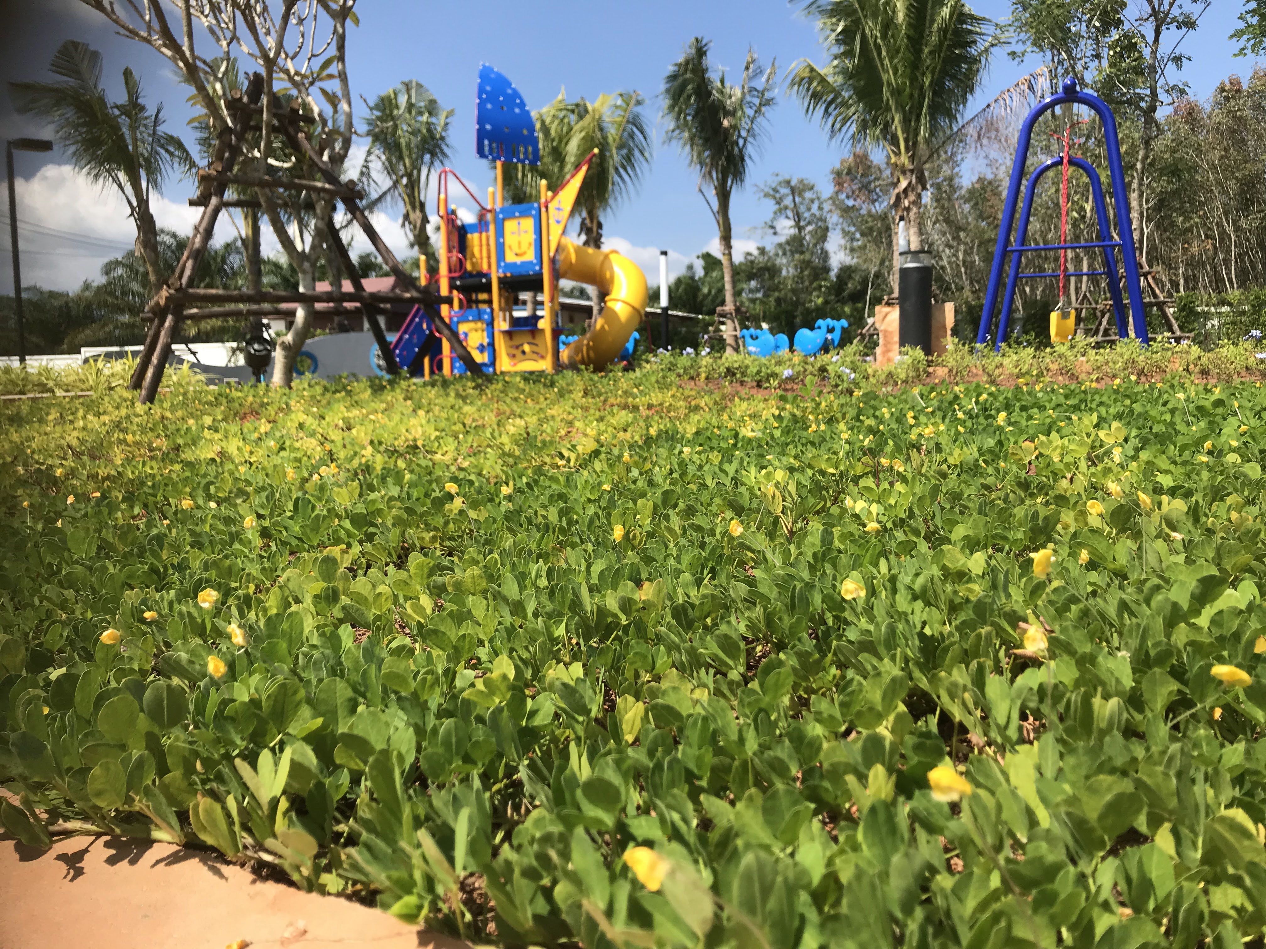 Supalai Bella Thalang Phuket
