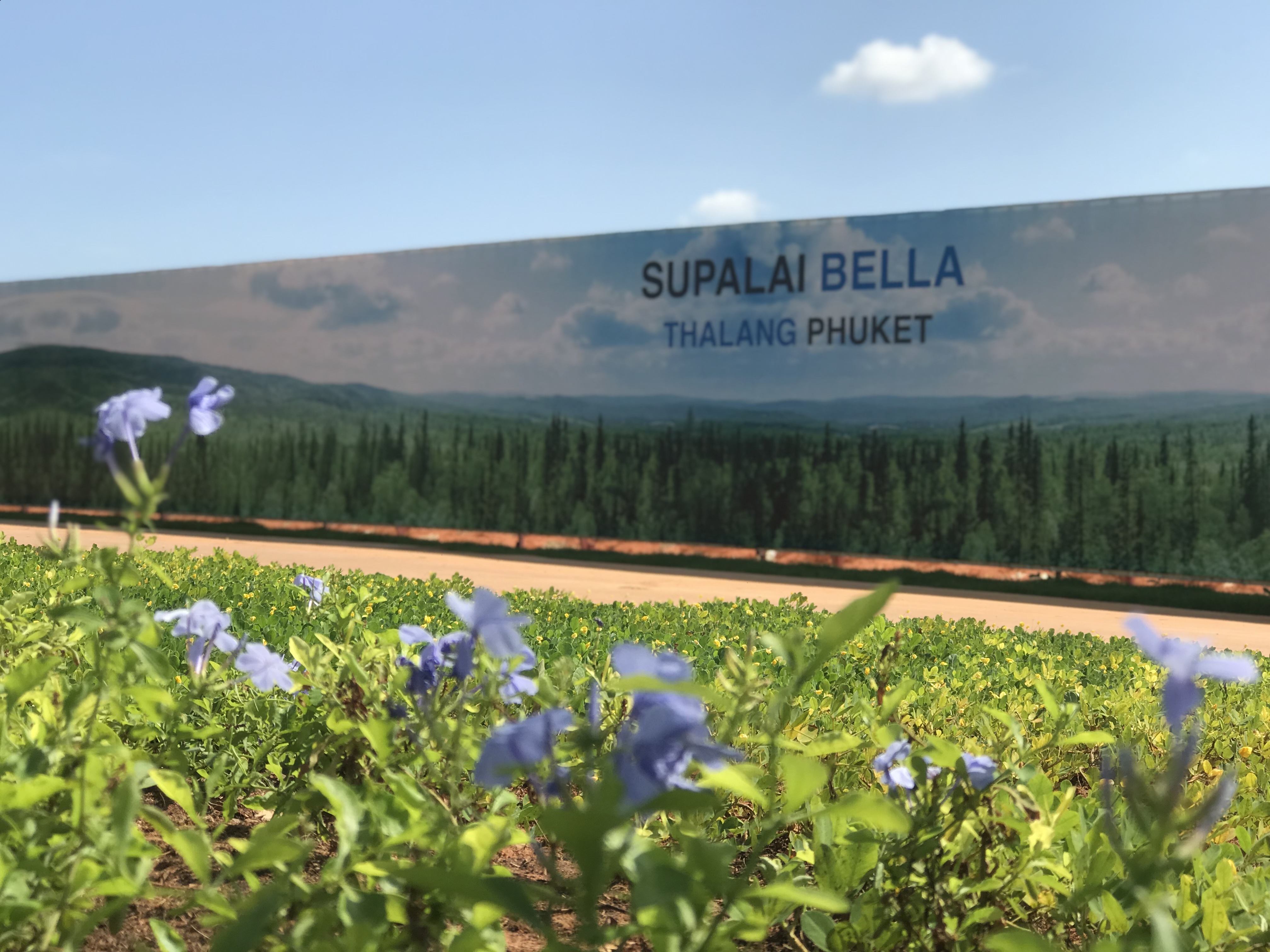 Supalai Bella Thalang Phuket