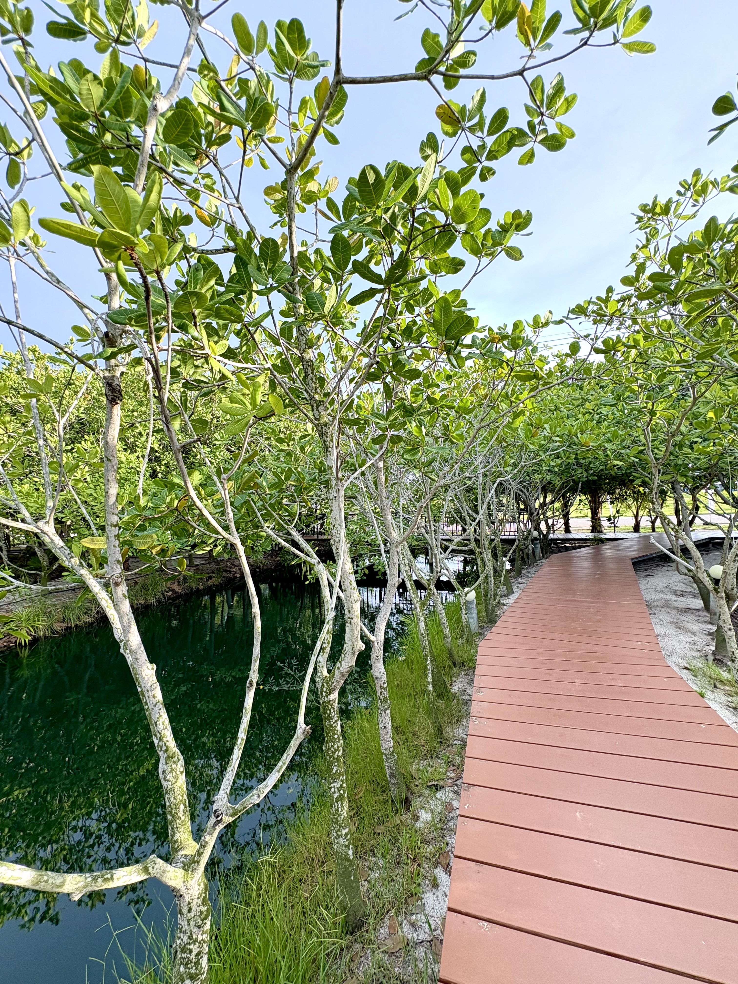 The Beatles Lagoon Phuket
