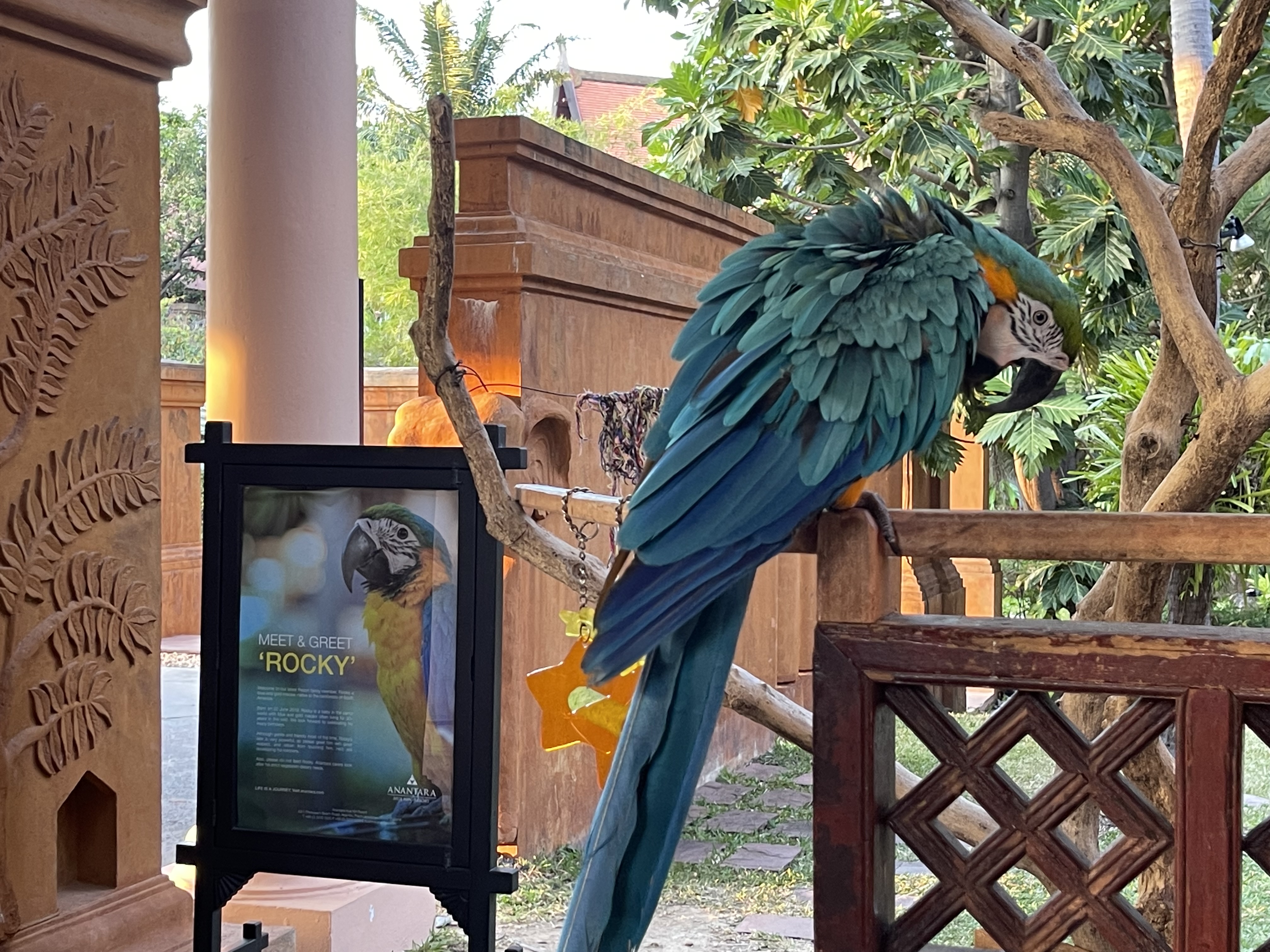 Anantara Hua Hin Resort