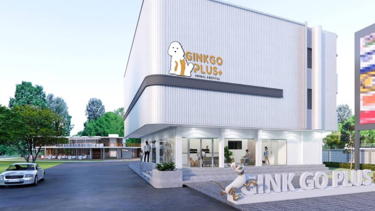 Ginkgo Plus animal hospital