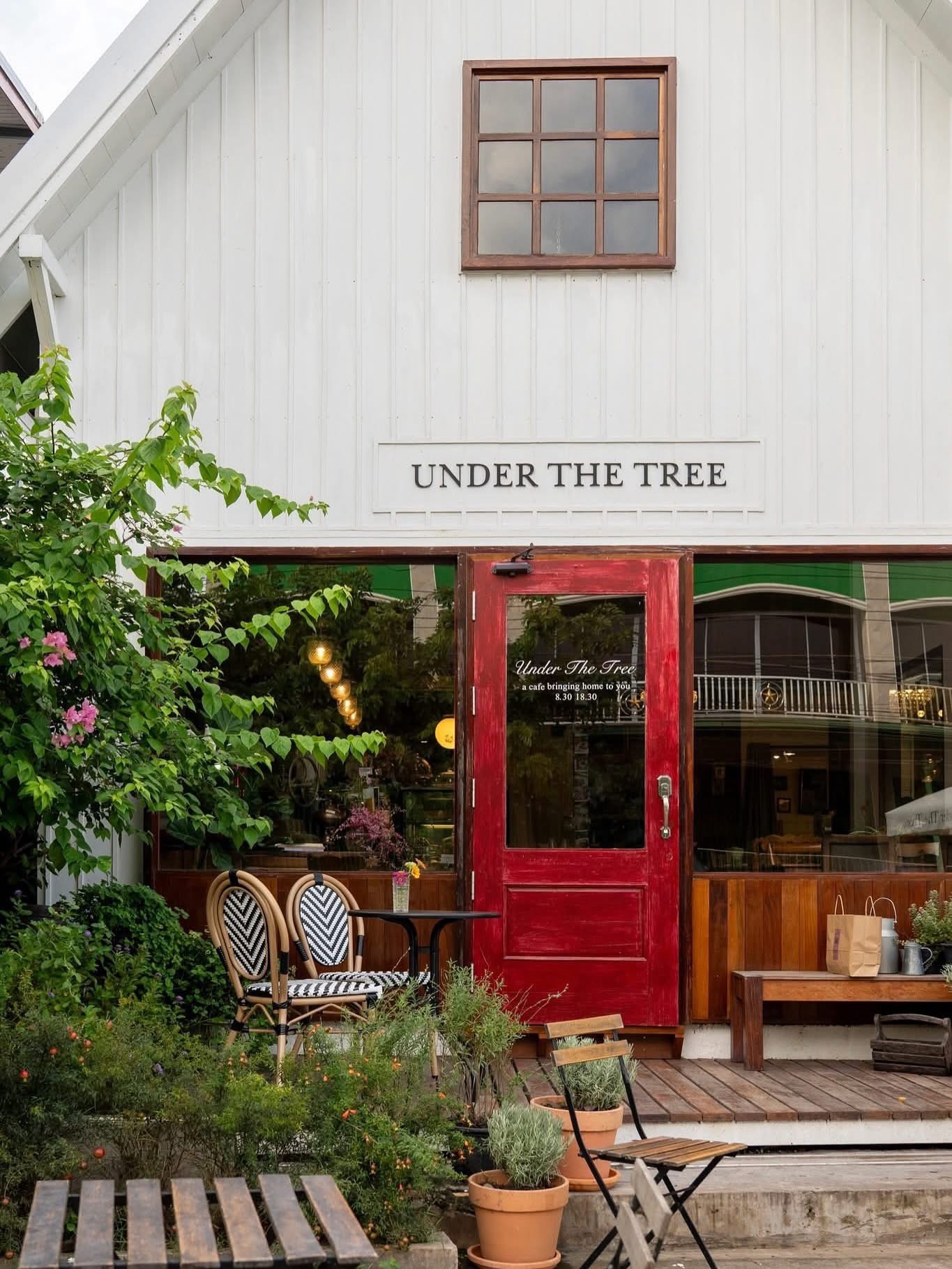 Under the Tree